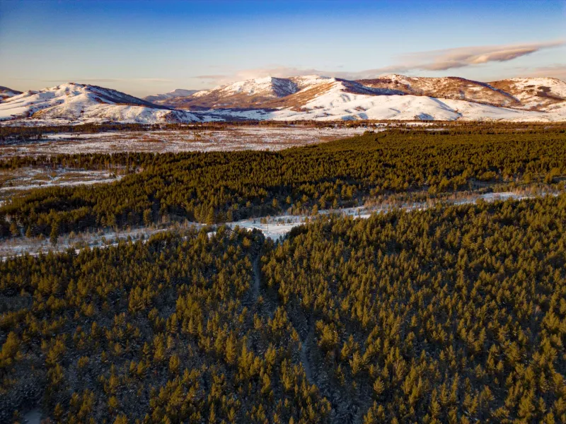 A Clerk Made a Typo. Fifty Thousand Acres Got Saved. Nobody Told Anyone for Decades.