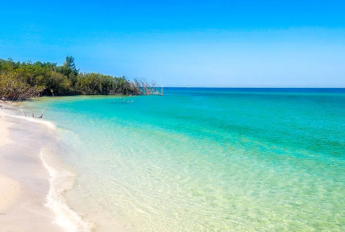 Gulf Coast