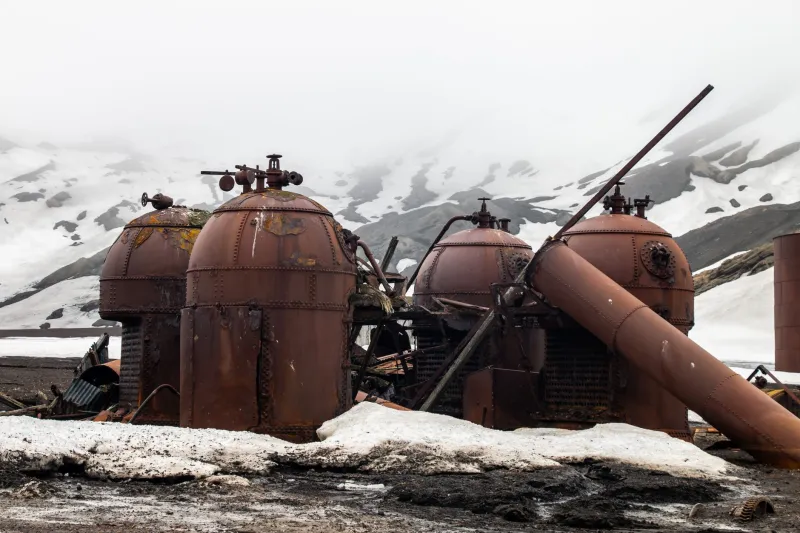 He Was Alone at the Bottom of the World — So He Cut Himself Open and Saved His Own Life