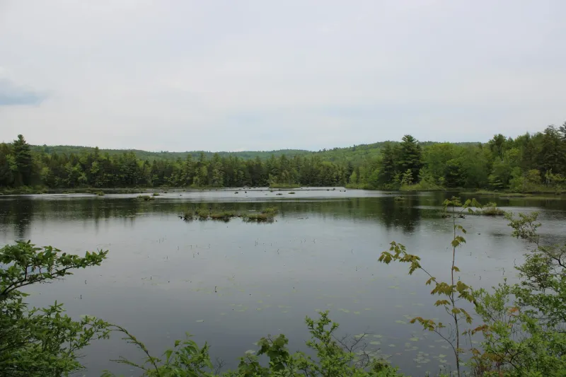 When 300 Farmers Declared War on Two Countries and Nearly Won